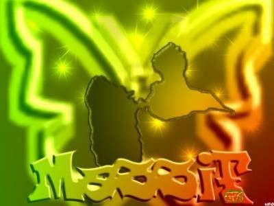 Le lover des Antilles !